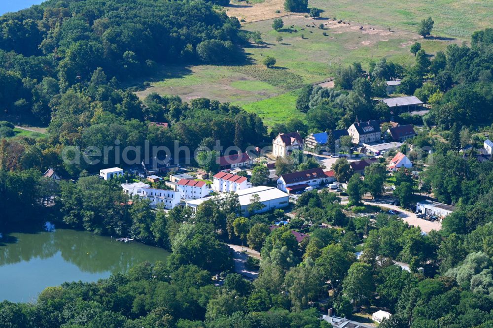 Werder (Havel) from the bird's eye view: Village on the banks of the area lake on street Grelle in the district Petzow in Werder (Havel) in the state Brandenburg, Germany