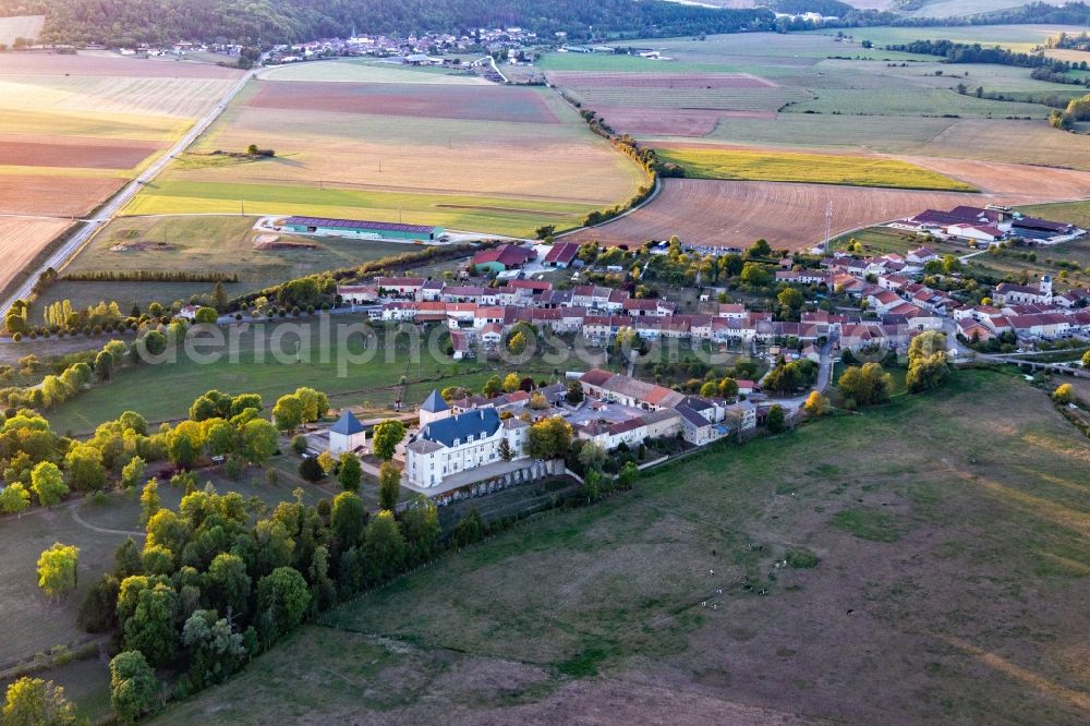 Aerial image Champougny - Palace Chateau de Montbras and Hostellerie de L'Isle en Bray in Montbras in Grand Est, France