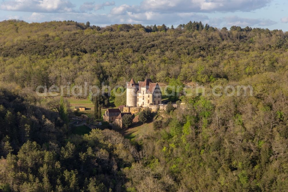 Aerial image Bezenac - Palace Chateau de PANASSOU in Bezenac in Nouvelle-Aquitaine, France