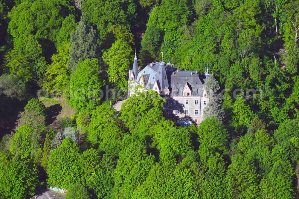 Morungen from above - Palace in Morungen in the state Saxony-Anhalt, Germany