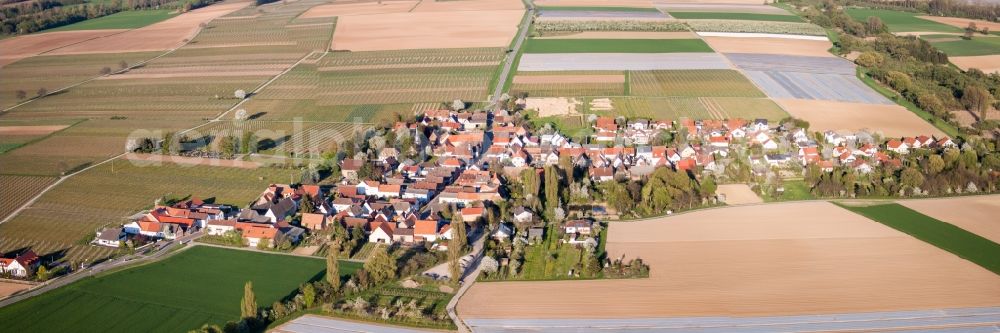 Aerial photograph Kleinfischlingen - Panoramic perspective Village - view on the edge of agricultural fields and farmland in Kleinfischlingen in the state Rhineland-Palatinate, Germany