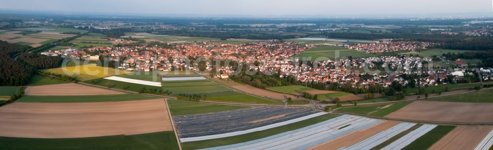 Aerial photograph Rheinzabern - Panoramic perspective of Village - view on the edge of agricultural fields and farmland in Rheinzabern in the state Rhineland-Palatinate, Germany