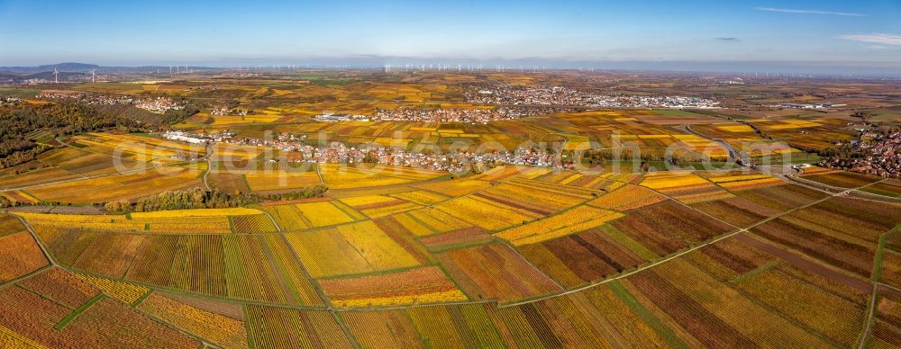 Aerial image Kleinkarlbach - Panoramic perspective autumnal discolored village view in Kleinkarlbach in the state Rhineland-Palatinate, Germany