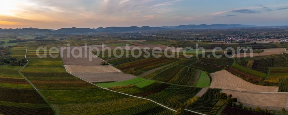 Billigheim-Ingenheim from above - Panoram perspective of a valley sourround by fields in automn colours in Billigheim-Ingenheim in the state Rhineland-Palatinate, Germany