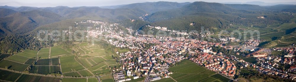 Bad Dürkheim from above - Panorama from the local area and environment in Bad Duerkheim am Rand der Haardt in the state Rhineland-Palatinate
