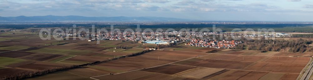 Aerial image Lustadt - Panorama from the local area and environment in Lustadt in the state Rhineland-Palatinate