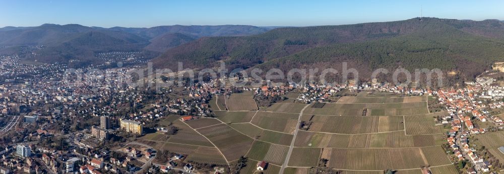 Neustadt an der Weinstraße from the bird's eye view: Panoramic perspective fields of wine cultivation landscape in the district Haardt in Neustadt an der Weinstrasse in the state Rhineland-Palatinate, Germany