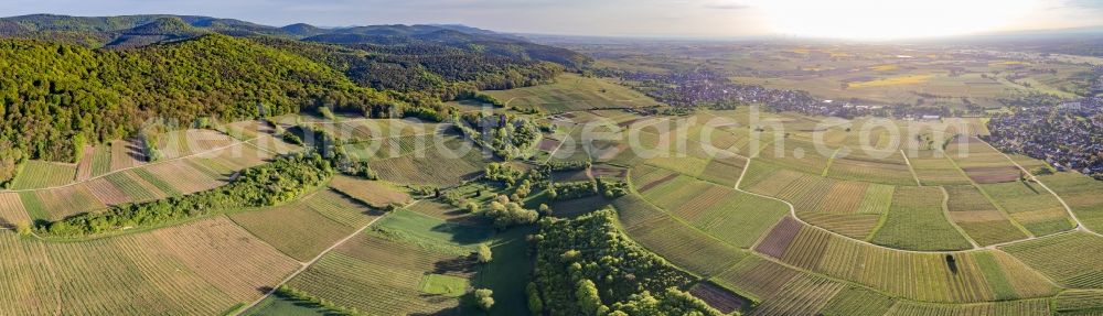 Wissembourg from the bird's eye view: Panoramic perspective fields of wine cultivation landscape Sonnenberg in Wissembourg in Grand Est, France