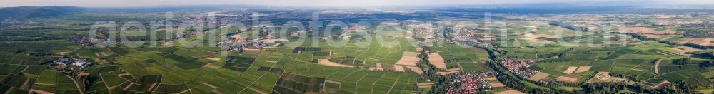 Aerial image Billigheim-Ingenheim - Panoramic perspective of Fields of wine cultivation landscape in the rhine valley near Billigheim-Ingenheim in the state Rhineland-Palatinate, Germany