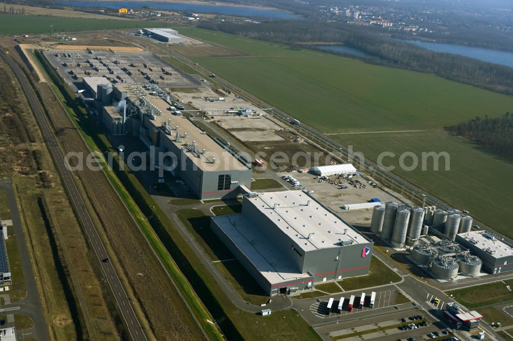 Sandersdorf from the bird's eye view: Paper factory premises of Progroup AG on street Sonnenseite in Sandersdorf in the state Saxony-Anhalt, Germany