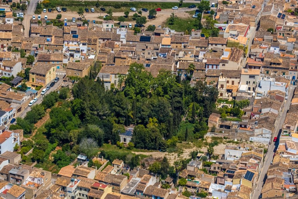 Arta from above - Park with tree tops in a forest - wooded area in the urban area between Carrer de Margalida Esplugues and Carrer de Rafel Blanes in Arta in Balearic island of Mallorca, Spain