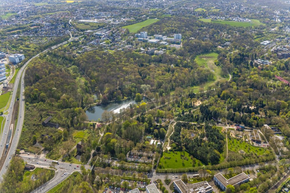 Dortmund from the bird's eye view: Park area of the Botanical Gardens Rombergpark in Dortmund in the state of North Rhine-Westphalia. The park was designed as an English landscape garden and includes forest and a lake