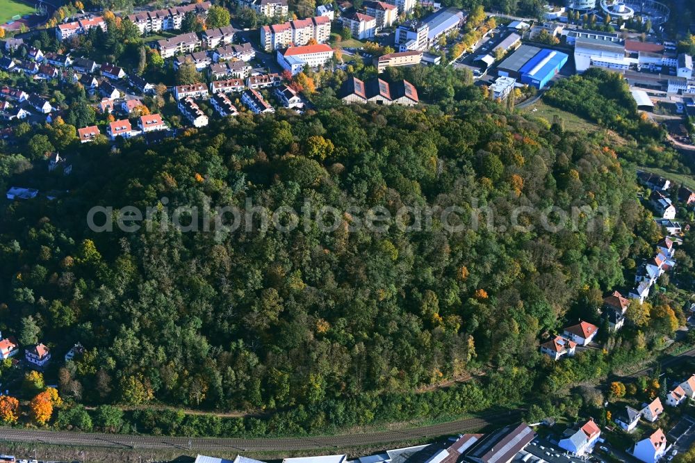 Aerial image Saarbrücken - Park of Kaninchenberg in the district Sankt Johann in Saarbruecken in the state Saarland, Germany