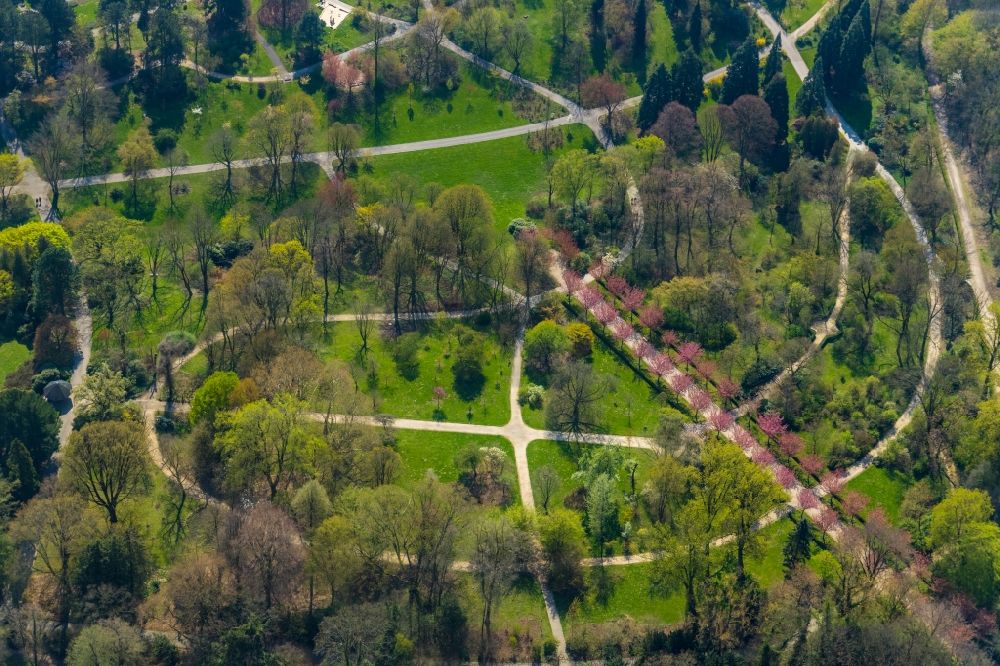 Aerial image Dortmund - Park of and Kirschbluetenallee in the district Rombergpark in Dortmund in the state North Rhine-Westphalia, Germany