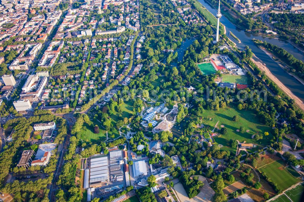 Mannheim from the bird's eye view: Park Luisenpark Mannheim with gondolettas on the Kutzerweiher at the River Neckar, part of the Federal Horticultural Show 2023 BUGA23 in Mannheim in the state Baden-Wuerttemberg, Germany