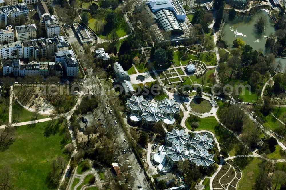 Frankfurt am Main from above - Park of Tropicarium - botanic garden in the district Westend in Frankfurt in the state Hesse, Germany