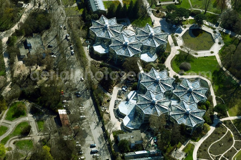 Frankfurt am Main from the bird's eye view: Park of Tropicarium - botanic garden in the district Westend in Frankfurt in the state Hesse, Germany