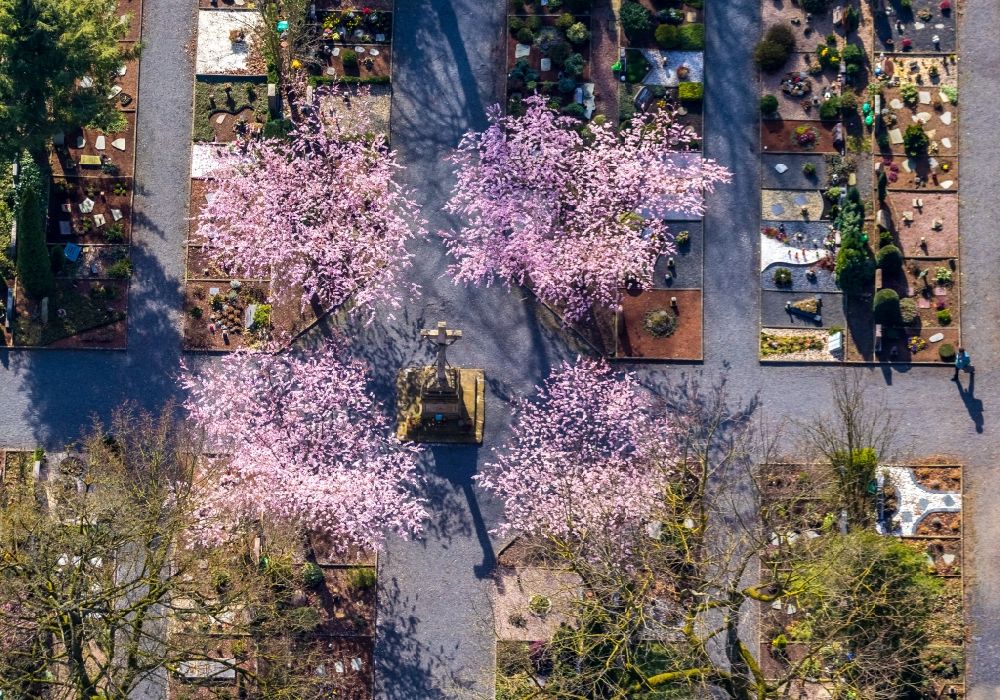 Aerial image Werl - Flowering trees on the rows of graves in the grounds of the cemetery in Werl in the state North Rhine-Westphalia, Germany