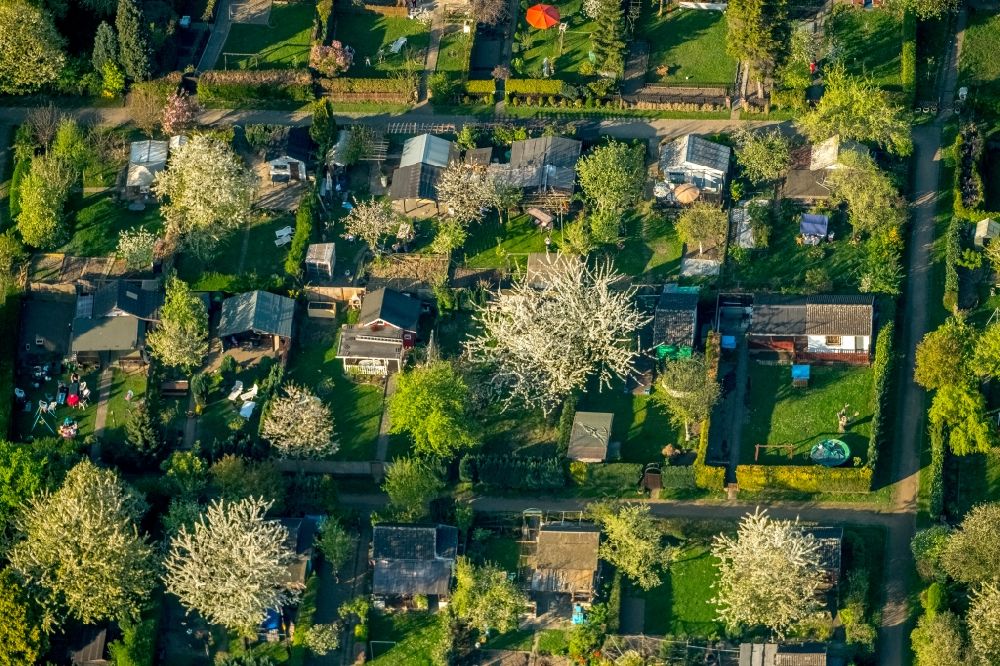 Aerial image Duisburg - Parcel of a small garden Neumuehler Strasse in the district Meiderich-Beeck in Duisburg in the state North Rhine-Westphalia