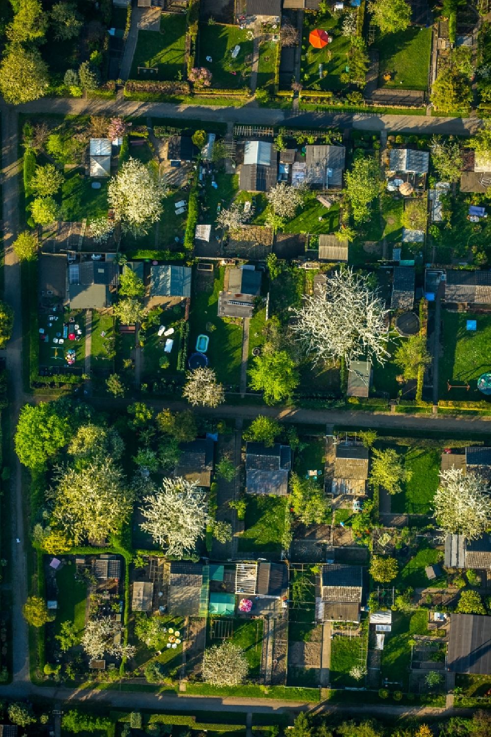 Aerial photograph Duisburg - Parcel of a small garden Neumuehler Strasse in the district Meiderich-Beeck in Duisburg in the state North Rhine-Westphalia