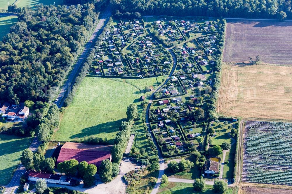 Aerial image Waghäusel - Parcel of a small garden in Waghaeusel in the state , Germany