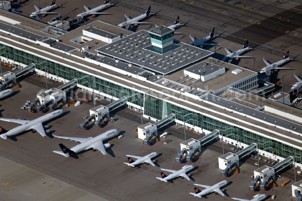 München from the bird's eye view: Passenger aircraft decommissioned due to the crisis on the parking positions and parking space at the airport in Munich in the state Bavaria, Germany