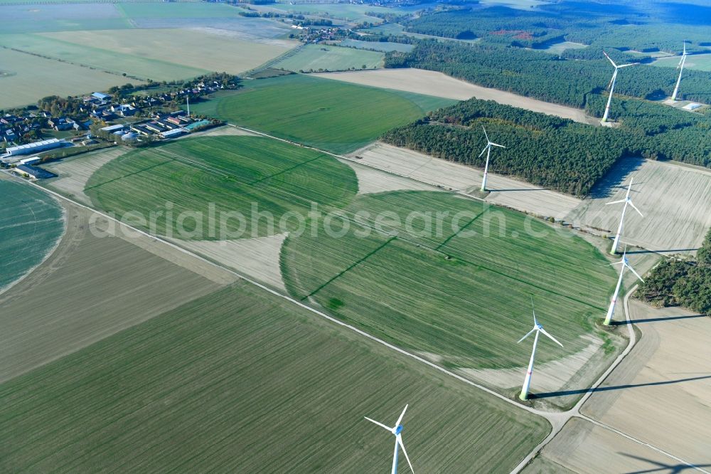 Aerial image Feldheim - Circular round arch of a pivot irrigation system on agricultural fields in Feldheim in the state Brandenburg, Germany