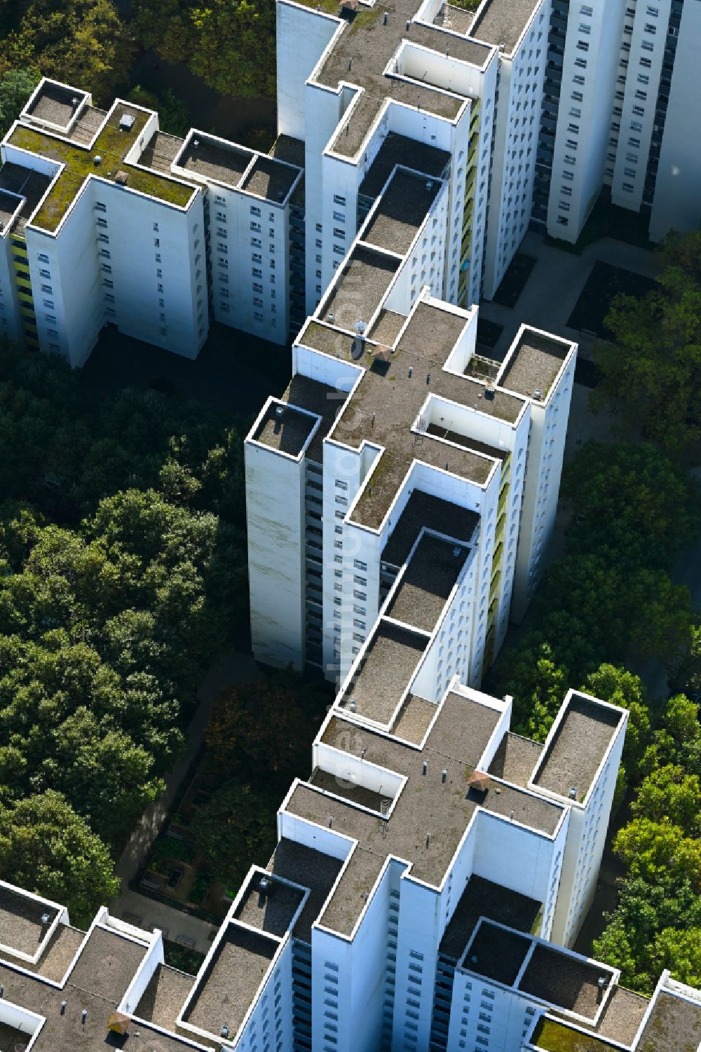 Aerial image Berlin - Skyscrapers in the residential area of industrially manufactured settlement on street Wilhelmsruher Damm in the district Maerkisches Viertel in Berlin, Germany