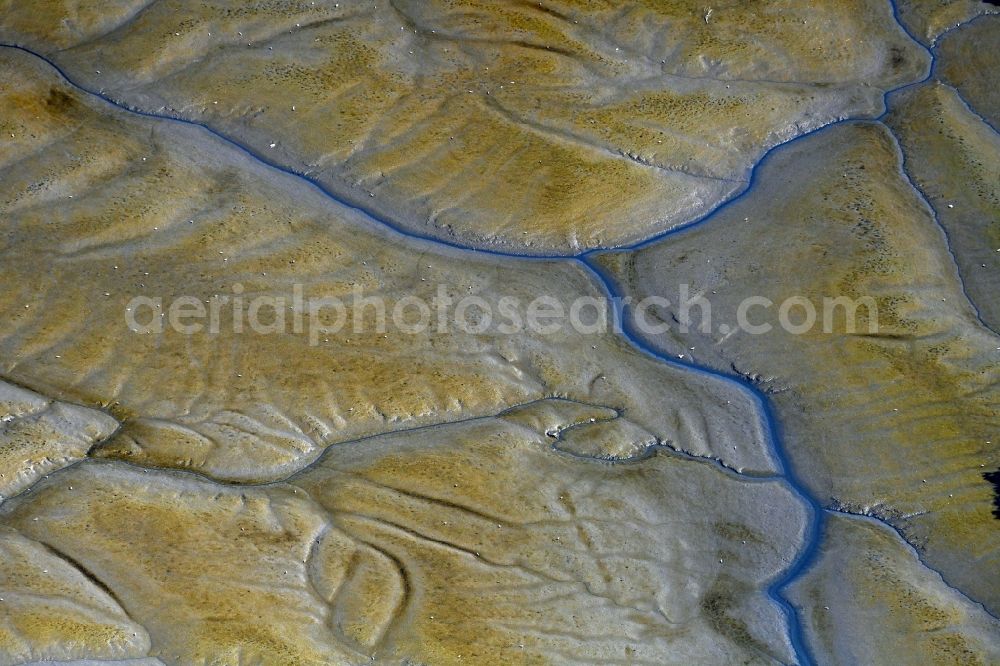 Aerial image Hamburg - Shore areas exposed by low-water level riverbed of elbe river Norderelbe in Hafenbereich in the district Moorfleet in Hamburg, Germany