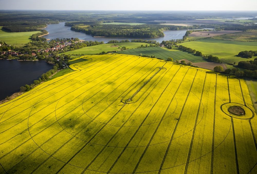Wesenberg from the bird's eye view: Yellow blooming landscape at Wesenberg in the state of Mecklenburg-Western Pomerania