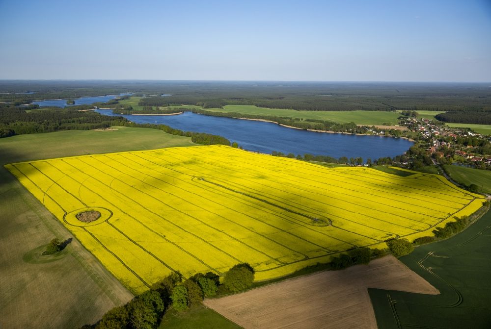 Aerial photograph Wesenberg - Yellow blooming landscape at Wesenberg in the state of Mecklenburg-Western Pomerania