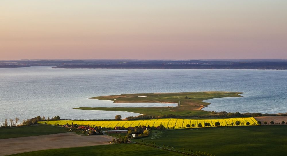 Aerial photograph Ludorf - On the shores of Lake Mueritz located rapeseed field with adjacent houses. In the state of Mecklenburg-Western Pomerania
