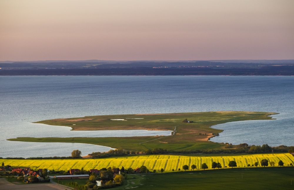 Ludorf from above - On the shores of Lake Mueritz located rapeseed field with adjacent houses. In the state of Mecklenburg-Western Pomerania