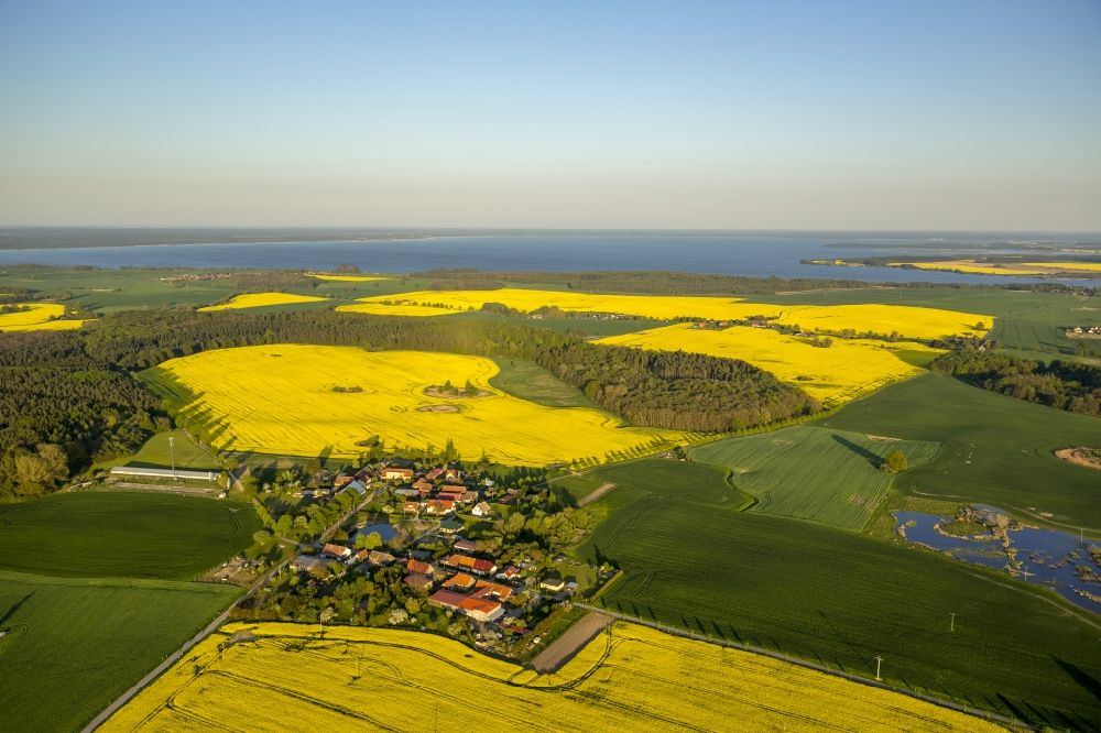 Aerial image Klink - View of canola fields near Klink in the state Mecklenburg-West Pomerania