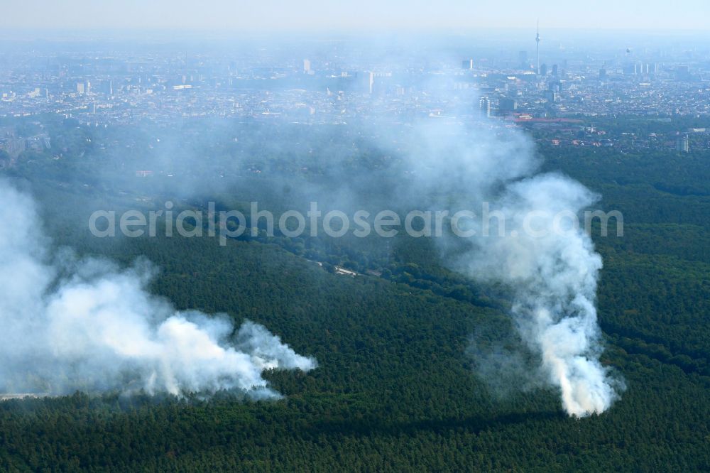 Berlin from above - Puffs of smoke and spread of fire from a forest fire as a result of an explosion at a blast site in the trees of a forest area and forest area on the road Huettenweg - AVUS A100 in the Grunewald district in Berlin, Germany