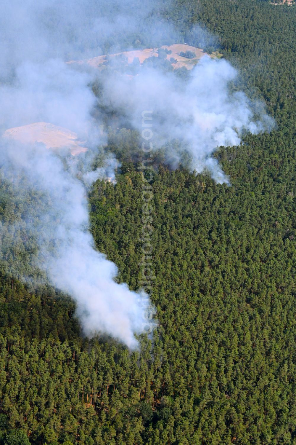 Berlin from above - Puffs of smoke and spread of fire from a forest fire as a result of an explosion at a blast site in the trees of a forest area and forest area on the road Huettenweg - AVUS A100 in the Grunewald district in Berlin, Germany