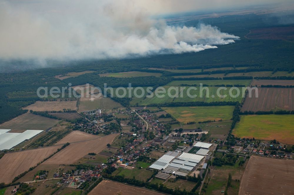 Aerial image Kemnitz - Smoke clouds by the Great Fire - destroyed forest fire tree population in a wooded area - forest terrain in Kemnitz near Treuenbrietzen in the state Brandenburg, Germany