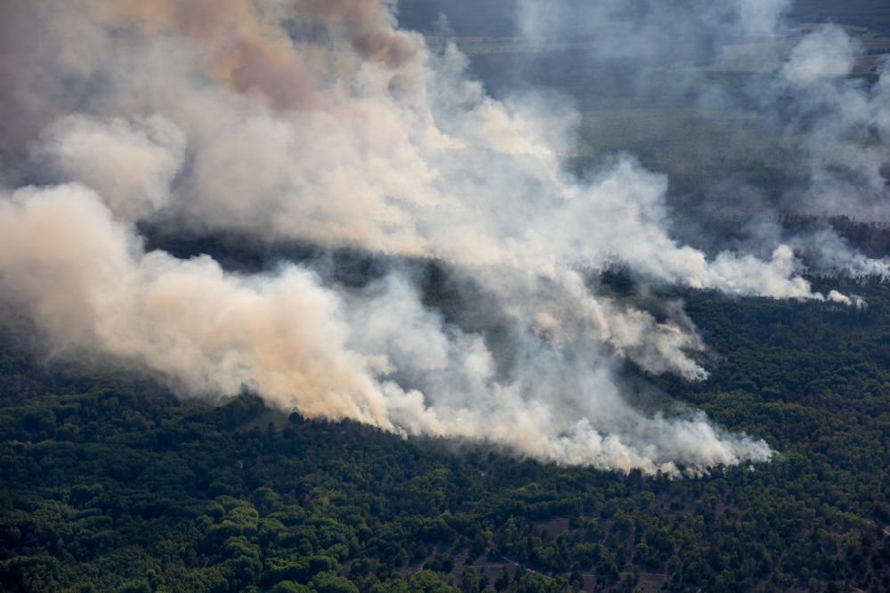 Aerial image Jüterbog - Smoke clouds by the Great Fire - destroyed forest fire tree population in a wooded area - forest terrain in the district Werder in Jueterbog in the state Brandenburg, Germany