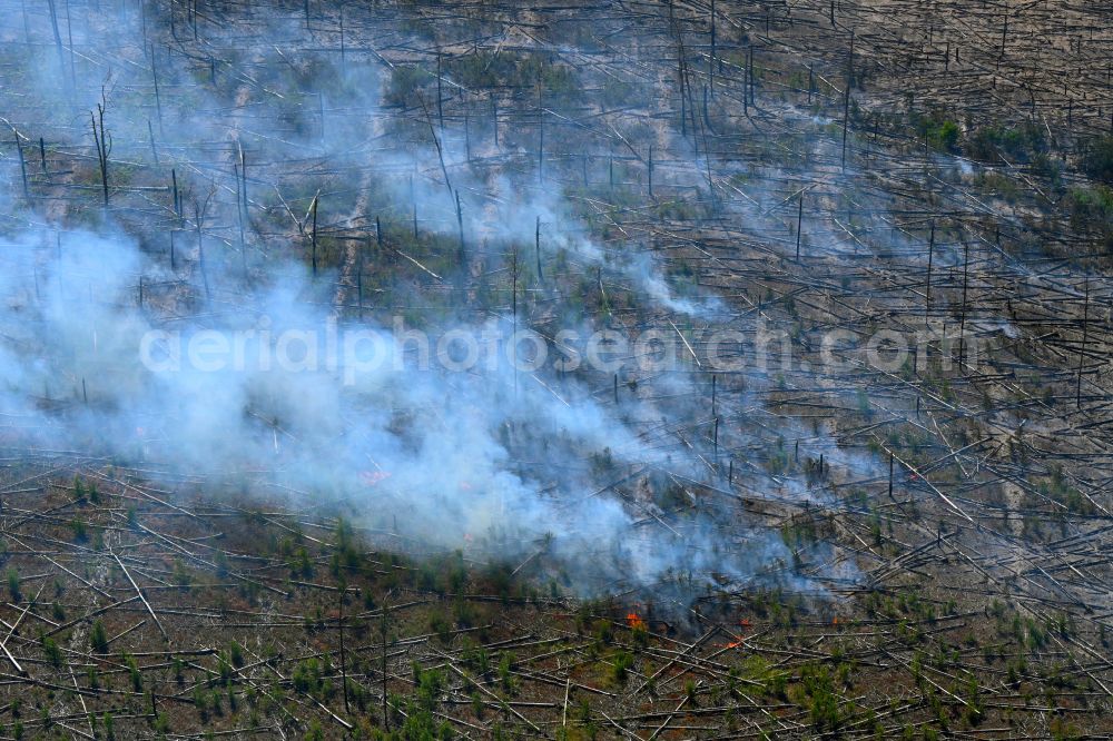 Aerial photograph Treuenbrietzen - Smoke clouds by the Great Fire - destroyed forest fire tree population in a wooded area - forest terrain in the district Bardenitz in Treuenbrietzen in the state Brandenburg, Germany