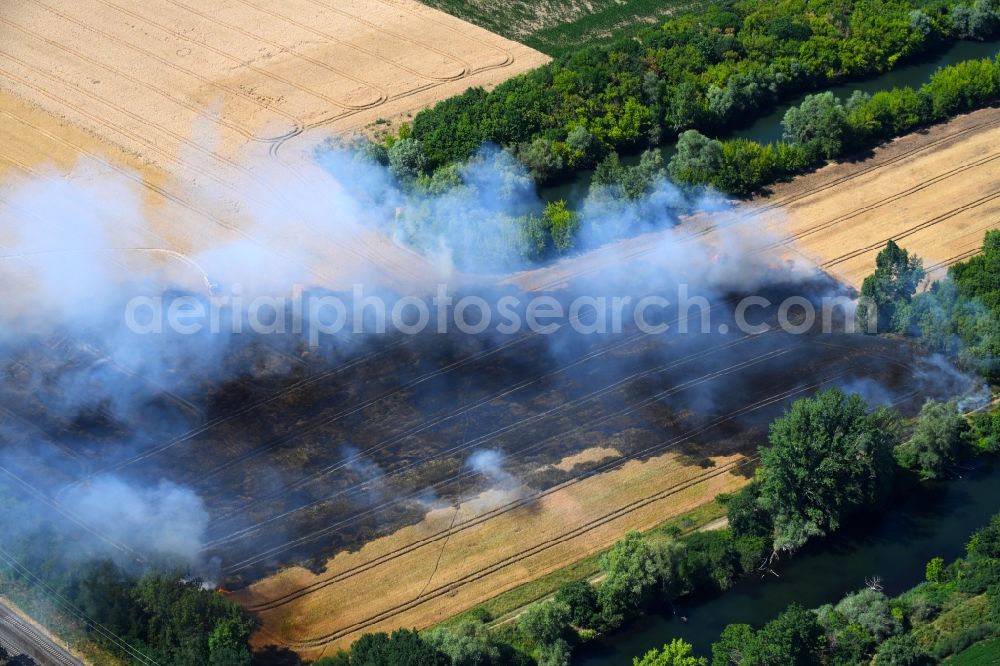 Angersdorf from the bird's eye view: Smoke clouds of a fire in a cornfield in Angersdorf in the state Saxony-Anhalt, Germany