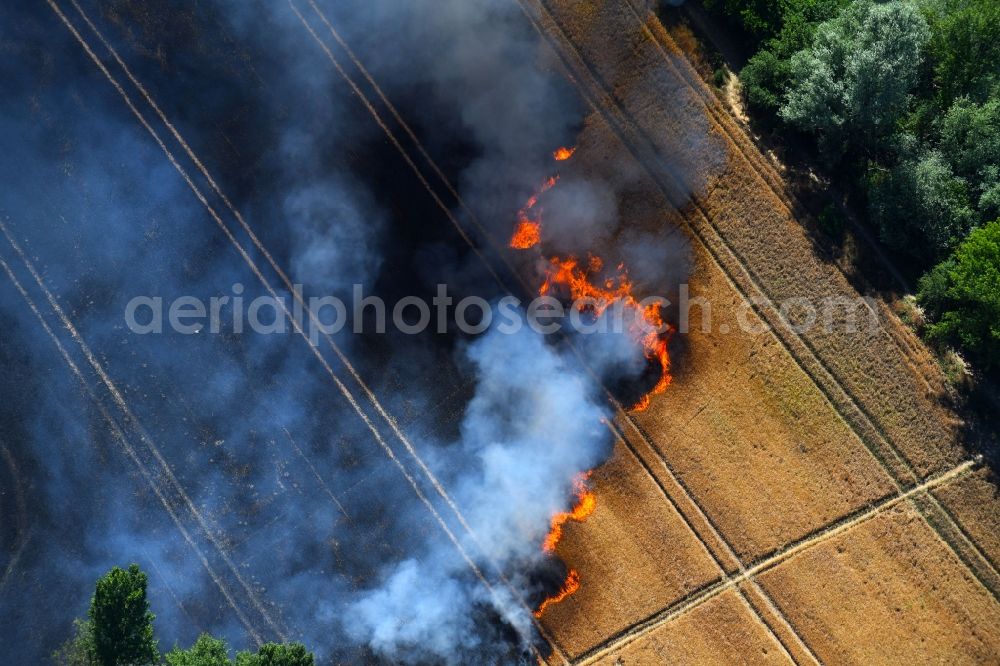 Aerial image Angersdorf - Smoke clouds of a fire in a cornfield in Angersdorf in the state Saxony-Anhalt, Germany