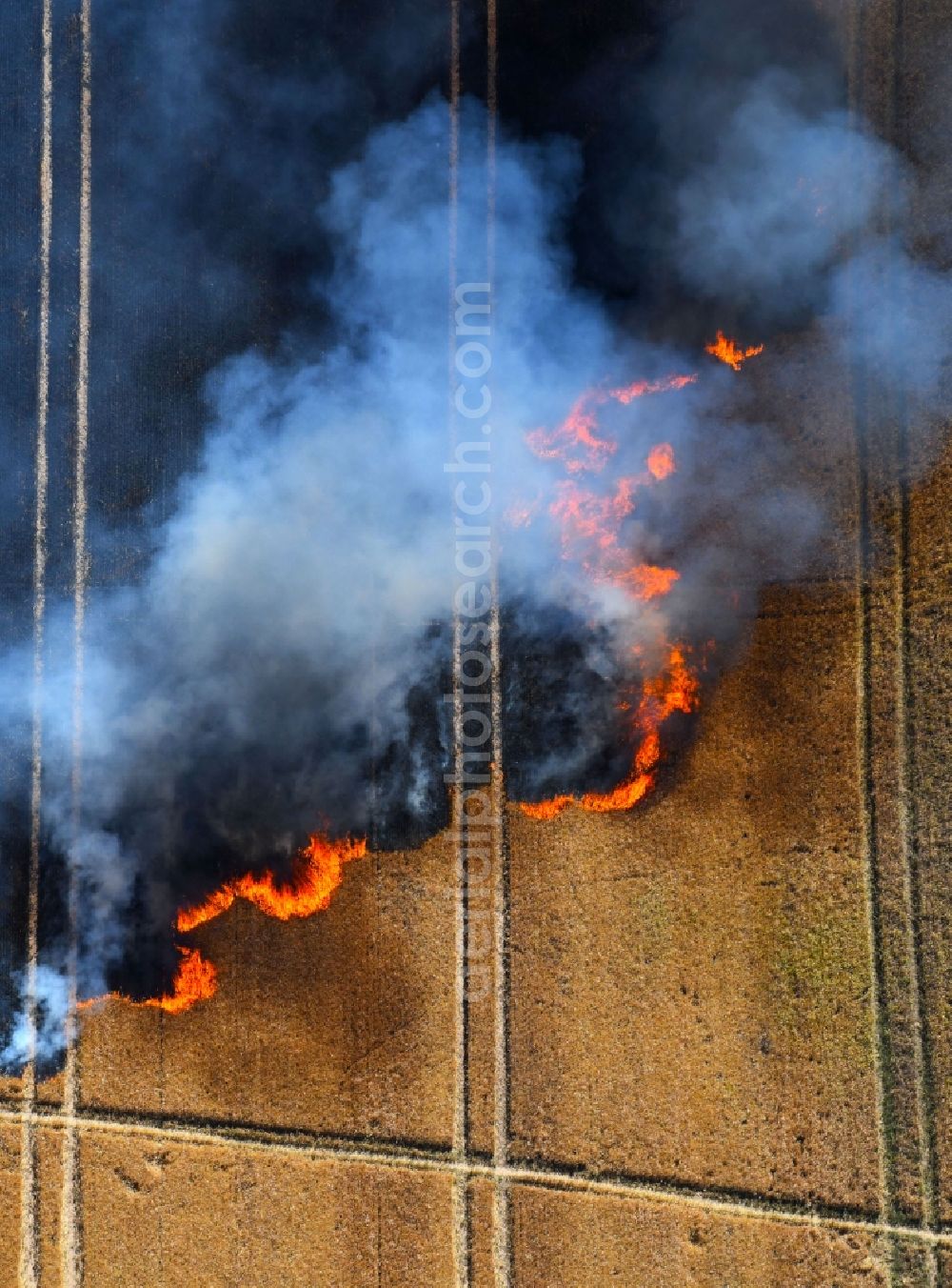 Angersdorf from above - Smoke clouds of a fire in a cornfield in Angersdorf in the state Saxony-Anhalt, Germany