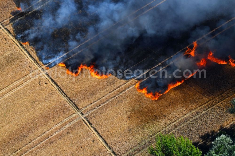 Aerial image Angersdorf - Smoke clouds of a fire in a cornfield in Angersdorf in the state Saxony-Anhalt, Germany