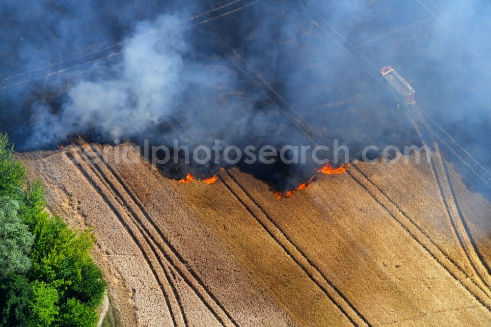 Aerial photograph Angersdorf - Smoke clouds of a fire in a cornfield in Angersdorf in the state Saxony-Anhalt, Germany