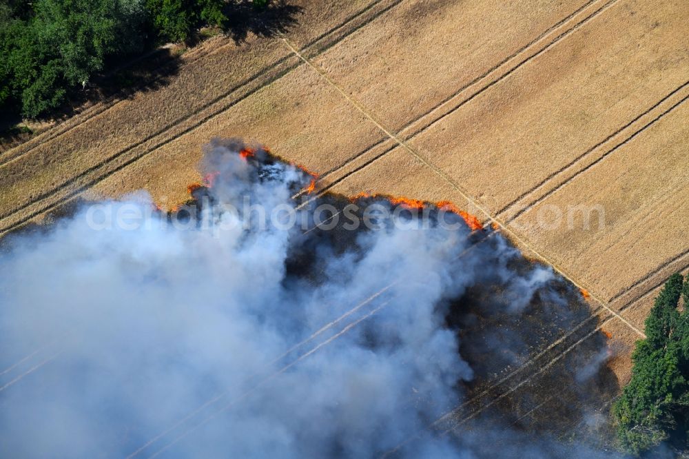 Angersdorf from the bird's eye view: Smoke clouds of a fire in a cornfield in Angersdorf in the state Saxony-Anhalt, Germany