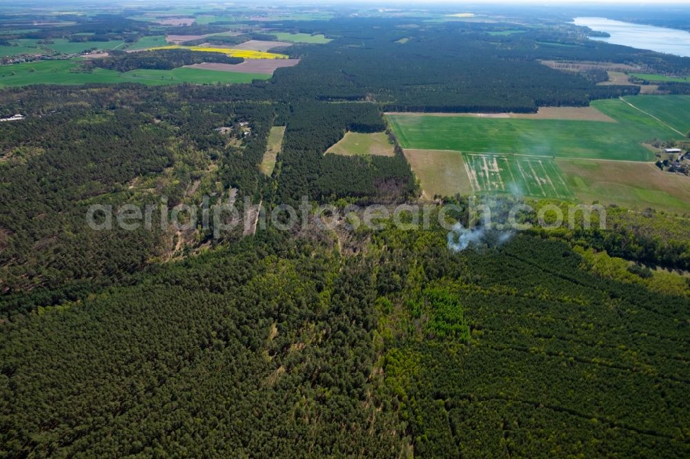 Aerial image Bad Saarow - Smoke clouds of a fire in a forest in Bad Saarow in the state Brandenburg, Germany