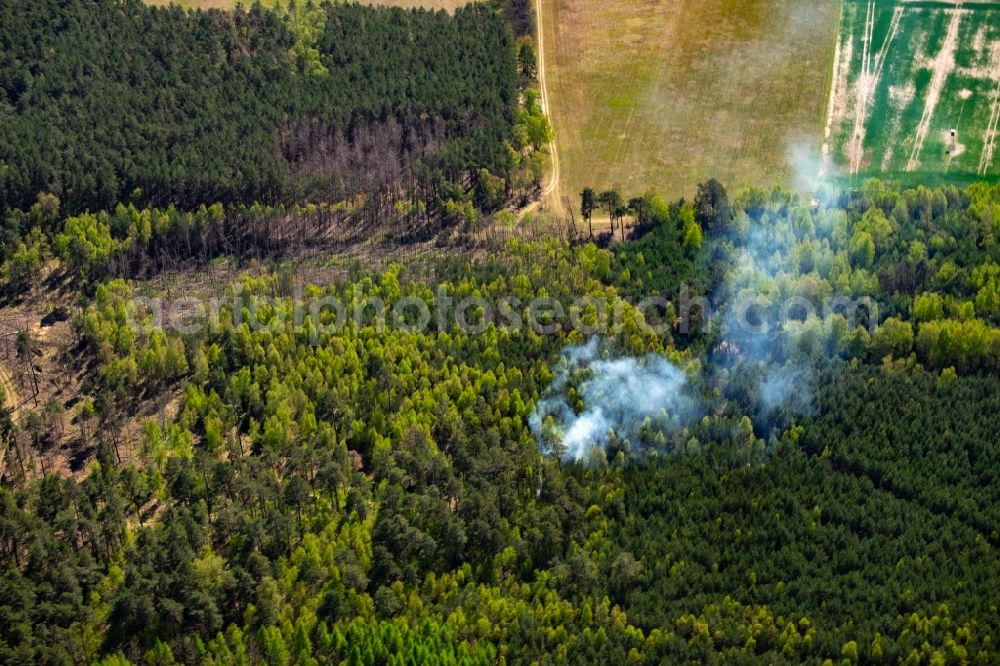Bad Saarow from above - Smoke clouds of a fire in a forest in Bad Saarow in the state Brandenburg, Germany