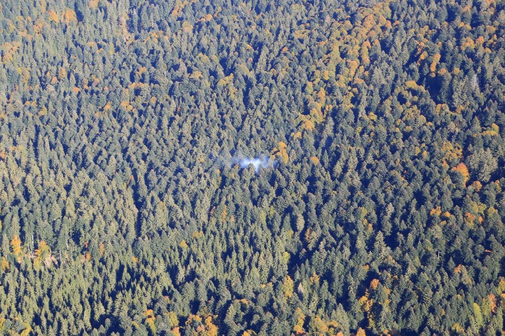 Aerial photograph Todtmoos - Smoke clouds by an open fire in the forest area of the Black Forest near by Todtmoos in the state Baden-Wurttemberg, Germany. Danger of forest fire in the dry woods