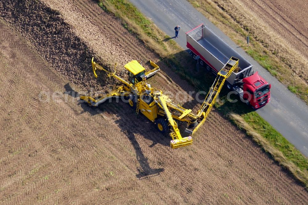 Friedland from above - Beet harvest in Friedland in the state Lower Saxony, Germany