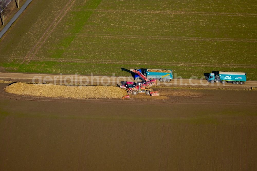 Aerial photograph Friedland - Beet loading on an agricultural field in Friedland in the state Lower Saxony, Germany